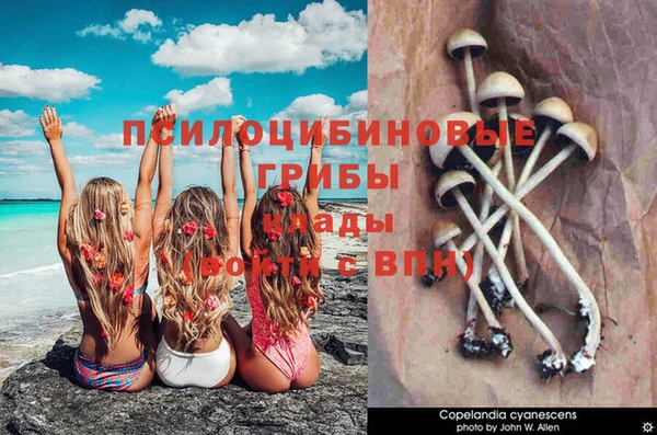 мескалин Алзамай
